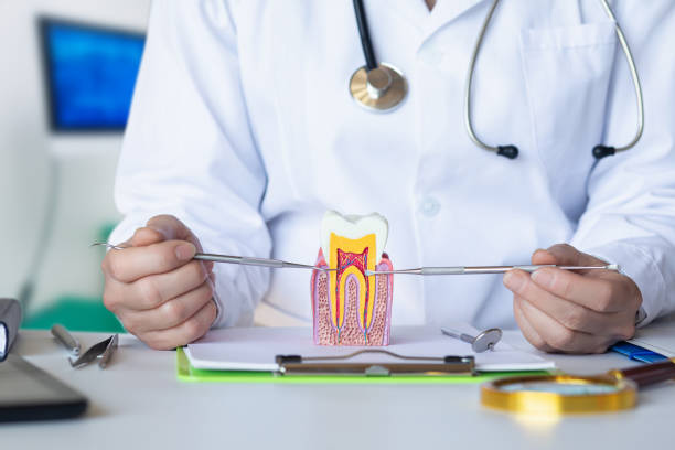 Best Broken or Cracked Tooth Emergency Dentist in USA